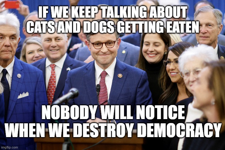 IF WE KEEP TALKING ABOUT CATS AND DOGS GETTING EATEN; NOBODY WILL NOTICE WHEN WE DESTROY DEMOCRACY | image tagged in dogs an cats,republicans,distraction | made w/ Imgflip meme maker