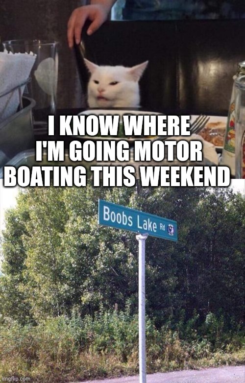 I KNOW WHERE I'M GOING MOTOR BOATING THIS WEEKEND | image tagged in smudge that darn cat | made w/ Imgflip meme maker