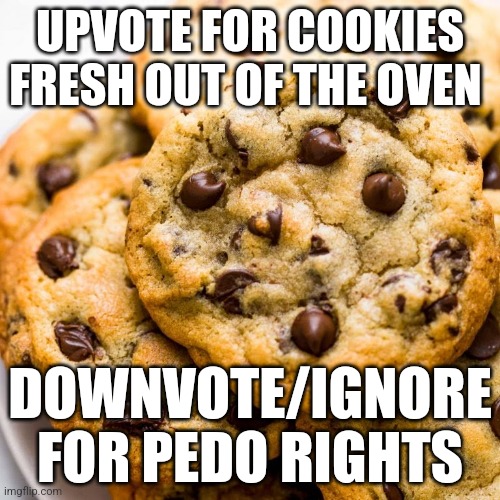 chocolate chip cookies | UPVOTE FOR COOKIES FRESH OUT OF THE OVEN; DOWNVOTE/IGNORE FOR PEDO RIGHTS | image tagged in chocolate chip cookies | made w/ Imgflip meme maker