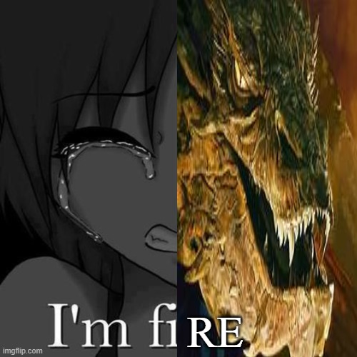 Im fine | RE | image tagged in im fine | made w/ Imgflip meme maker