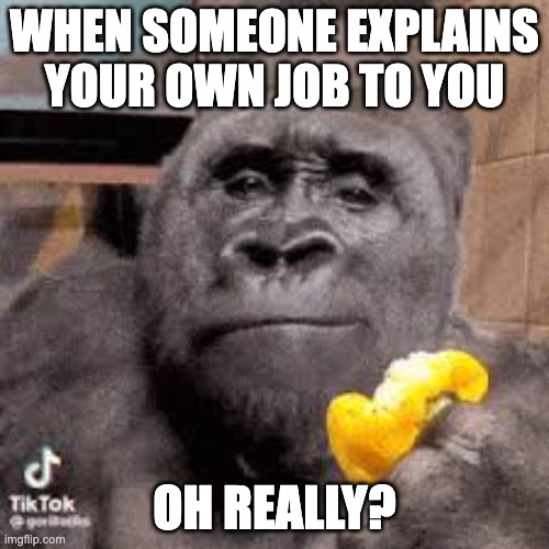 ai lol | WHEN SOMEONE EXPLAINS YOUR OWN JOB TO YOU; OH REALLY? | image tagged in condescending monke | made w/ Imgflip meme maker