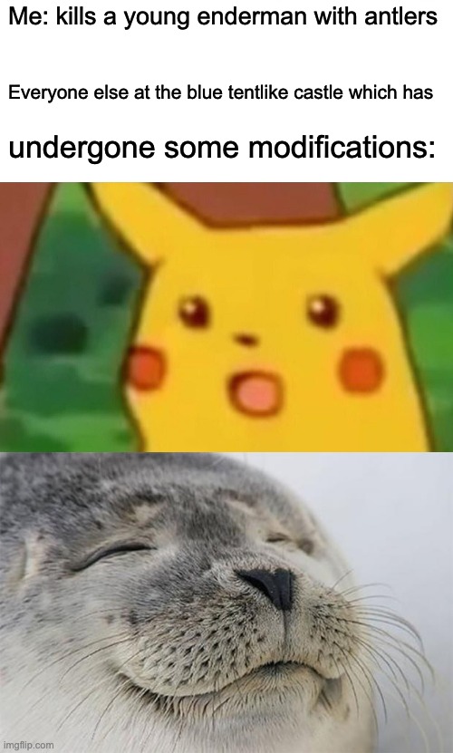 the reaction depends on the character | Me: kills a young enderman with antlers; Everyone else at the blue tentlike castle which has; undergone some modifications: | image tagged in memes,surprised pikachu,satisfied seal | made w/ Imgflip meme maker