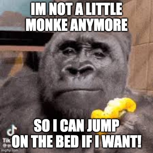 condescending monke | IM NOT A LITTLE MONKE ANYMORE; SO I CAN JUMP ON THE BED IF I WANT! | image tagged in condescending monke | made w/ Imgflip meme maker