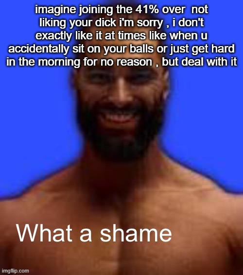 What a shame | imagine joining the 41% over  not liking your dick i'm sorry , i don't exactly like it at times like when u accidentally sit on your balls or just get hard in the morning for no reason , but deal with it | image tagged in what a shame | made w/ Imgflip meme maker