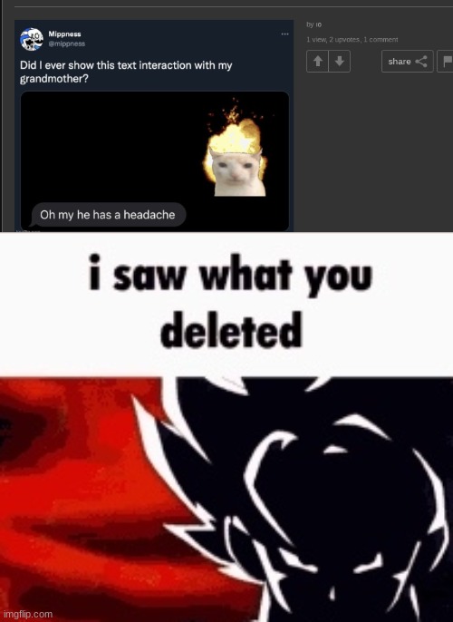 i saw what you deleted | image tagged in i saw what you deleted | made w/ Imgflip meme maker