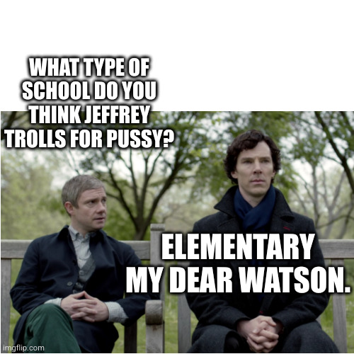 watson .. wth sherlock | WHAT TYPE OF SCHOOL DO YOU THINK JEFFREY TROLLS FOR PUSSY? ELEMENTARY MY DEAR WATSON. | image tagged in watson wth sherlock | made w/ Imgflip meme maker