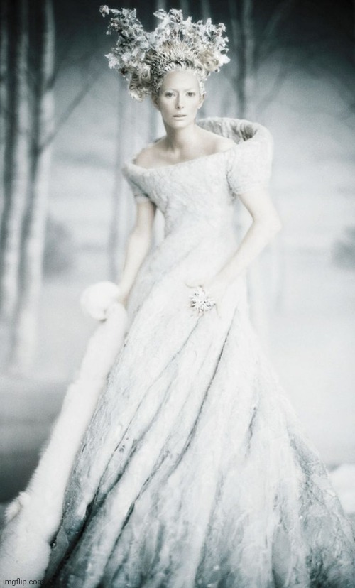 Narnia White Witch | image tagged in narnia white witch | made w/ Imgflip meme maker