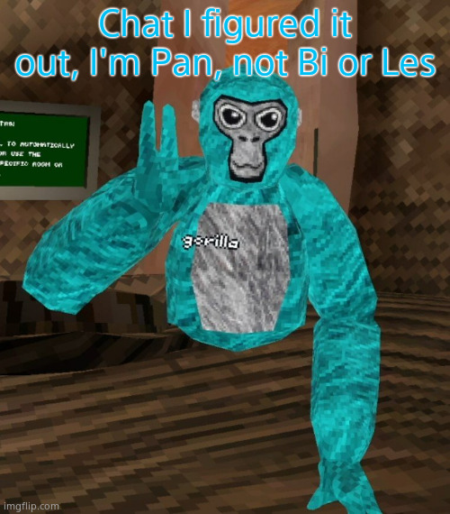 Monkey | Chat I figured it out, I'm Pan, not Bi or Les | image tagged in monkey | made w/ Imgflip meme maker