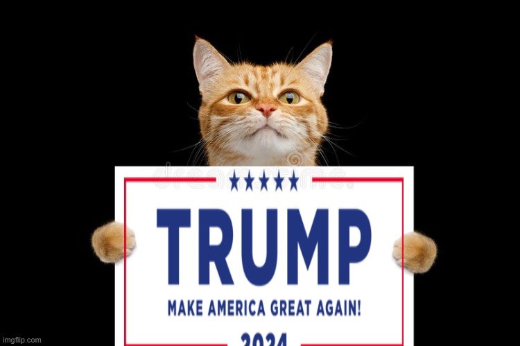 Cat sign | image tagged in cat sign | made w/ Imgflip meme maker