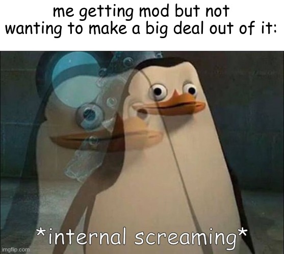 thanks evil-ish (and AM) | me getting mod but not wanting to make a big deal out of it: | image tagged in private internal screaming | made w/ Imgflip meme maker