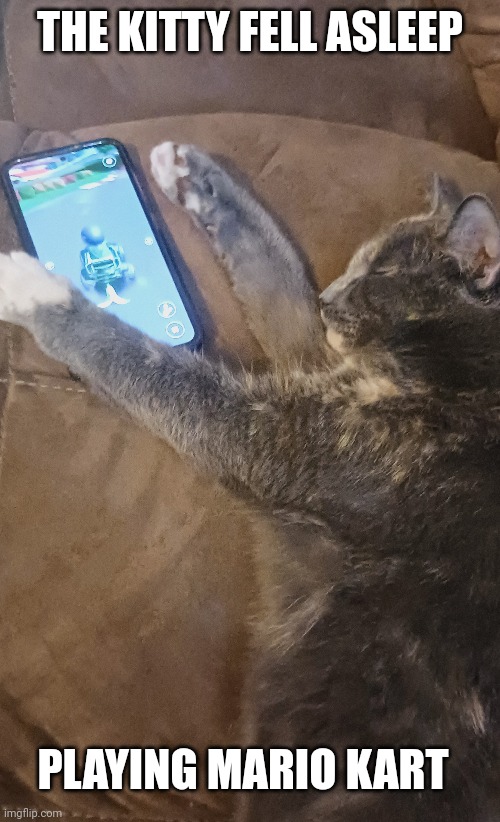 MAYBE SHE JUST WANTS THAT BANANA PEEL | THE KITTY FELL ASLEEP; PLAYING MARIO KART | image tagged in cats,funny cats,mario kart,phone | made w/ Imgflip meme maker