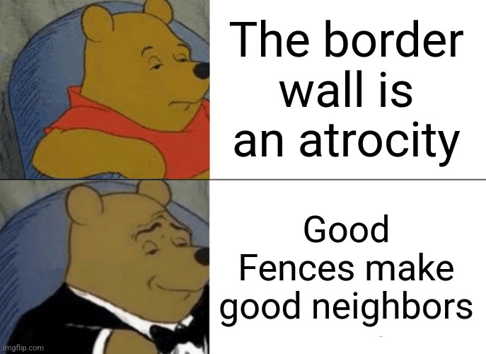 Perspective | The border wall is an atrocity; Good Fences make good neighbors | image tagged in memes,tuxedo winnie the pooh,border wall,election 2024 | made w/ Imgflip meme maker