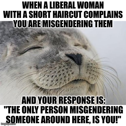 Its time to stop letting crazy be normalized.... | WHEN A LIBERAL WOMAN WITH A SHORT HAIRCUT COMPLAINS YOU ARE MISGENDERING THEM; AND YOUR RESPONSE IS: "THE ONLY PERSON MISGENDERING SOMEONE AROUND HERE, IS YOU!" | image tagged in satisfied seal,pronouns,gender,stupid liberals,misinformation,democratic party | made w/ Imgflip meme maker