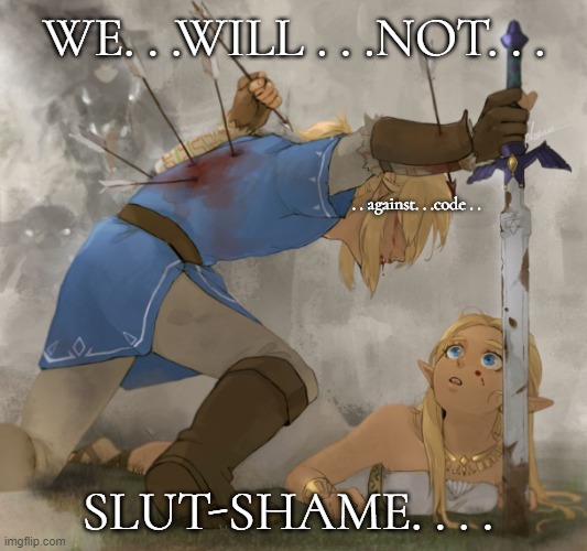 Shield of Innocence | WE. . .WILL . . .NOT. . . SLUT-SHAME. . . . . . against. . .code . . | image tagged in shield of innocence | made w/ Imgflip meme maker