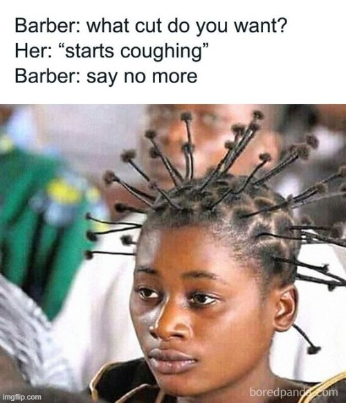 THE Hair-Do of a Life Time | image tagged in vince vance,hairdresser,barber,pigtails,braids,bad hair day | made w/ Imgflip meme maker