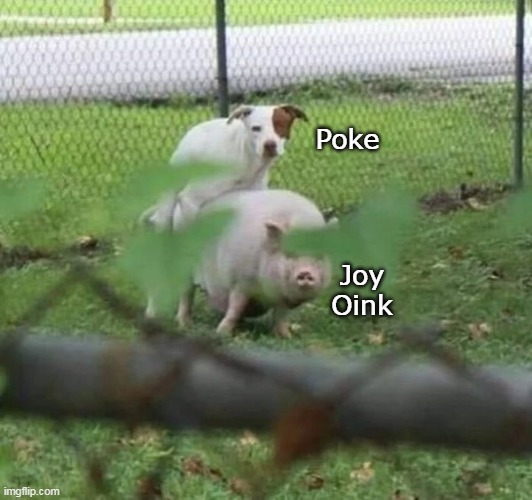 Poke Joy Oink | made w/ Imgflip meme maker