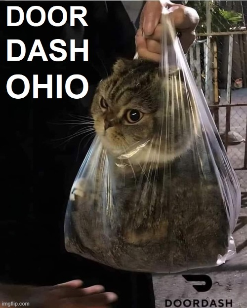 DoorDash Driver: Haitians Don't Tip | image tagged in vince vance,ohio,pets,doordash,memes,cats | made w/ Imgflip meme maker