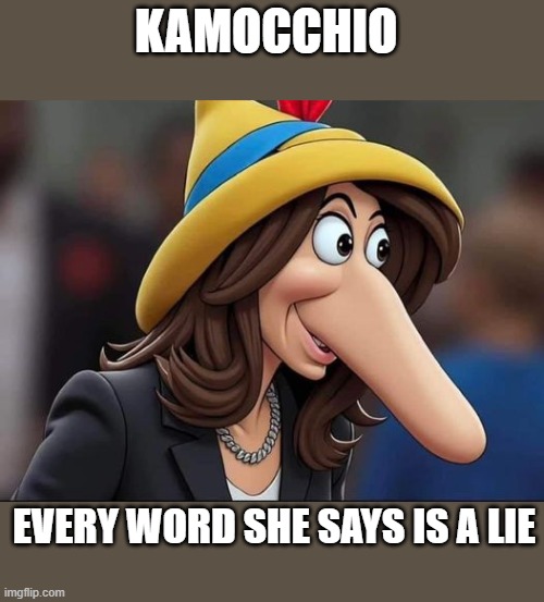 Mr repeated violations here, gimme those badges of honor.   24 48 72 IDGAF lol | KAMOCCHIO; EVERY WORD SHE SAYS IS A LIE | image tagged in stupid liberals,funny memes,political meme,political correctness,political humor,donald trump approves | made w/ Imgflip meme maker