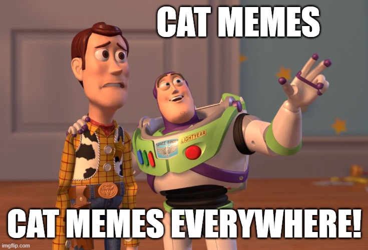 X, X Everywhere | CAT MEMES; CAT MEMES EVERYWHERE! | image tagged in memes,x x everywhere | made w/ Imgflip meme maker