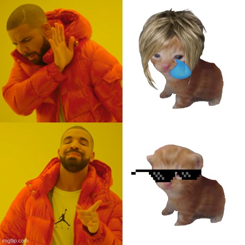 Drake Hotline Bling | image tagged in memes,drake hotline bling | made w/ Imgflip meme maker