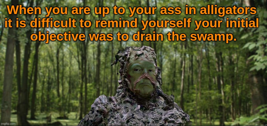 Swamp thing | When you are up to your ass in alligators 
it is difficult to remind yourself your initial 
objective was to drain the swamp. | image tagged in donald trump | made w/ Imgflip meme maker