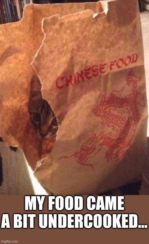 Chinese Food Not So Well Done | MY FOOD CAME A BIT UNDERCOOKED… | image tagged in chinese food not so well done,chinese food | made w/ Imgflip meme maker