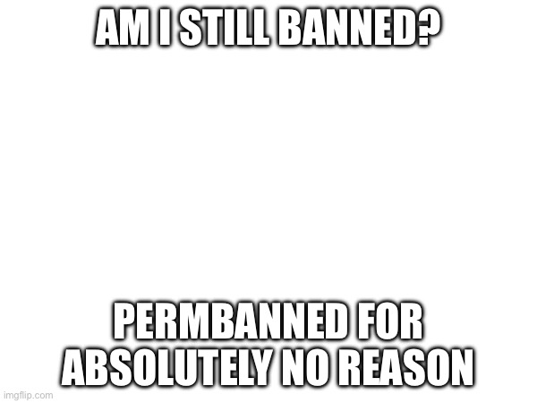 ;-; | AM I STILL BANNED? PERMBANNED FOR ABSOLUTELY NO REASON | image tagged in why,why are you reading the tags | made w/ Imgflip meme maker