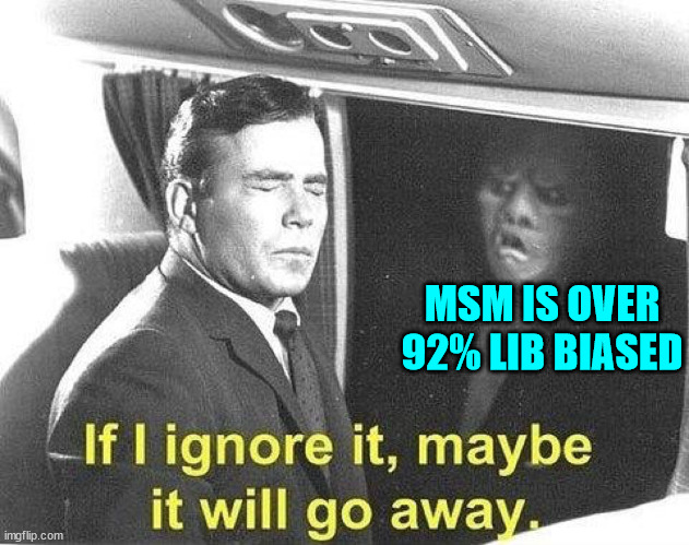 American MSM = corrupt status quo propaganda | MSM IS OVER 92% LIB BIASED | image tagged in ignore it go away,ignorant people,do not see the msm is state propaganda | made w/ Imgflip meme maker