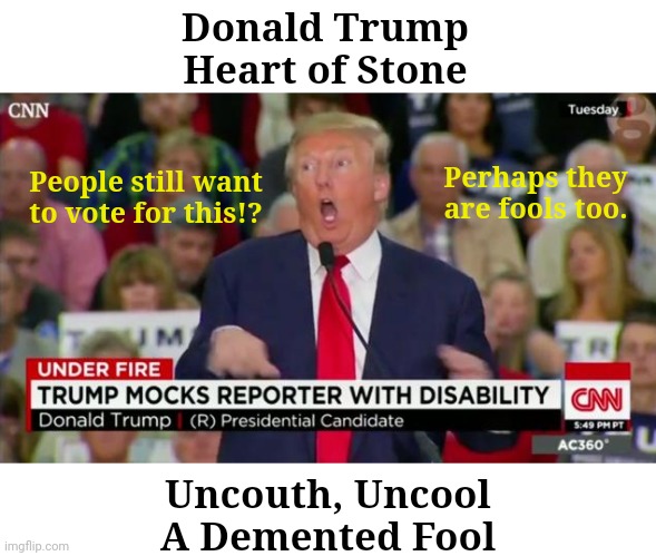 Trump Mocking Disabled | Donald Trump
Heart of Stone; Perhaps they are fools too. People still want to vote for this!? Uncouth, Uncool
A Demented Fool | image tagged in trump mocking disabled | made w/ Imgflip meme maker