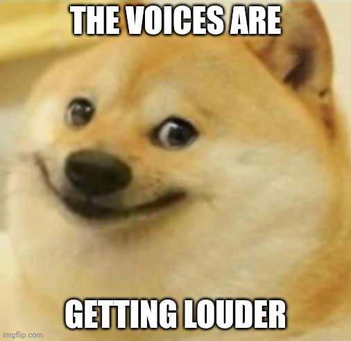 Smile Doge (Cropped) | THE VOICES ARE GETTING LOUDER | image tagged in smile doge cropped | made w/ Imgflip meme maker