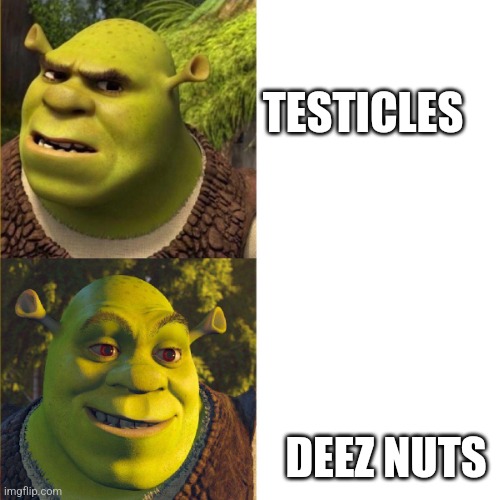 Shrek no - yes (drake format) | TESTICLES; DEEZ NUTS | image tagged in shrek no - yes drake format | made w/ Imgflip meme maker