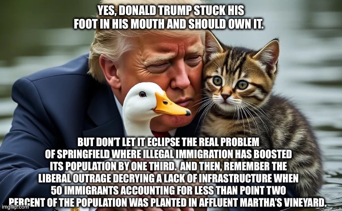 Springfield Cats | YES, DONALD TRUMP STUCK HIS FOOT IN HIS MOUTH AND SHOULD OWN IT. BUT DON’T LET IT ECLIPSE THE REAL PROBLEM OF SPRINGFIELD WHERE ILLEGAL IMMIGRATION HAS BOOSTED ITS POPULATION BY ONE THIRD.  AND THEN, REMEMBER THE LIBERAL OUTRAGE DECRYING A LACK OF INFRASTRUCTURE WHEN 50 IMMIGRANTS ACCOUNTING FOR LESS THAN POINT TWO PERCENT OF THE POPULATION WAS PLANTED IN AFFLUENT MARTHA’S VINEYARD. | image tagged in trump cat,harris,haiti,lgbtq,biden | made w/ Imgflip meme maker