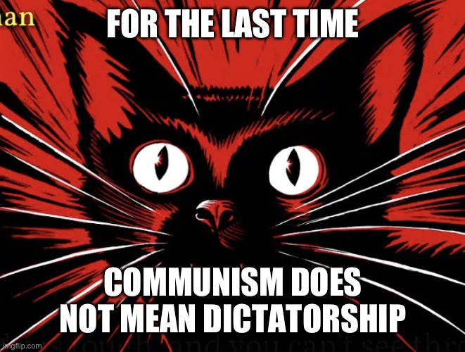 Seriously | FOR THE LAST TIME; COMMUNISM DOES NOT MEAN DICTATORSHIP | image tagged in sabo tabby,communism,communist,anarchism,syndicalism | made w/ Imgflip meme maker