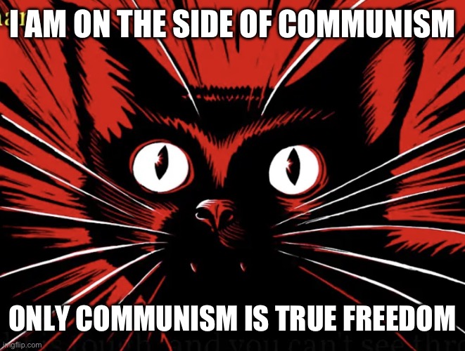 only communism is true freedom | I AM ON THE SIDE OF COMMUNISM; ONLY COMMUNISM IS TRUE FREEDOM | image tagged in sabo tabby,communism,anarchism | made w/ Imgflip meme maker