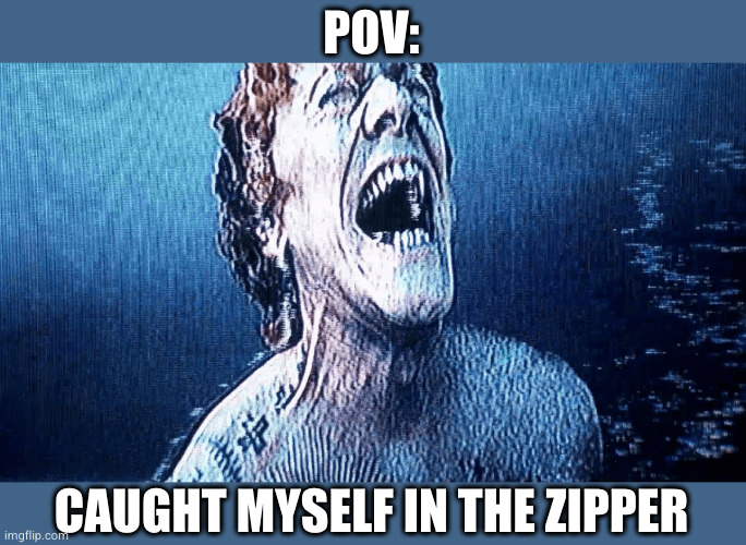 I said NO TEETH! | POV:; CAUGHT MYSELF IN THE ZIPPER | image tagged in ouch | made w/ Imgflip meme maker