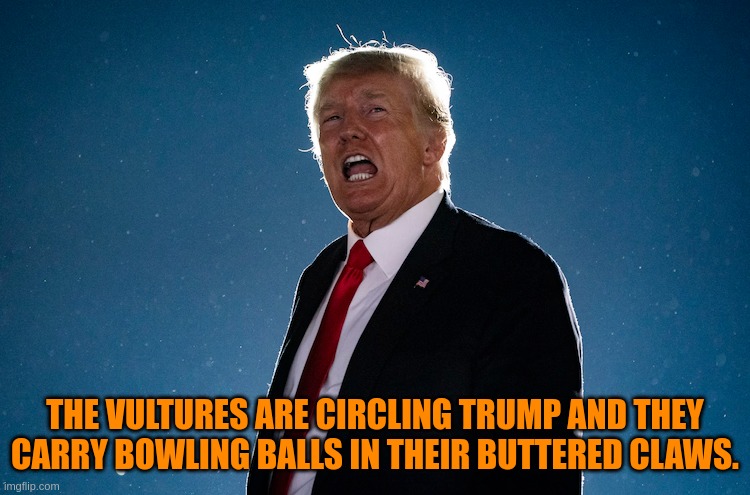 It's over | THE VULTURES ARE CIRCLING TRUMP AND THEY CARRY BOWLING BALLS IN THEIR BUTTERED CLAWS. | image tagged in donald trump | made w/ Imgflip meme maker