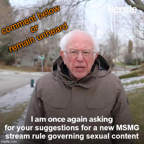 Bernie I Am Once Again Asking For Your Support Meme | comment below
or
remain unheard; for your suggestions for a new MSMG
stream rule governing sexual content | image tagged in memes,bernie i am once again asking for your support | made w/ Imgflip meme maker