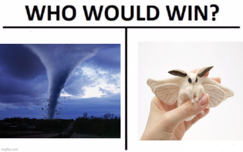 chat ngl i think i got this one | image tagged in memes,who would win | made w/ Imgflip meme maker