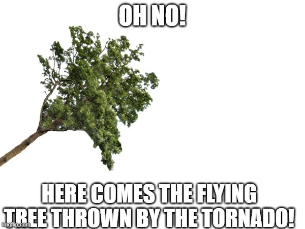 OH NO! HERE COMES THE FLYING TREE THROWN BY THE TORNADO! | made w/ Imgflip meme maker