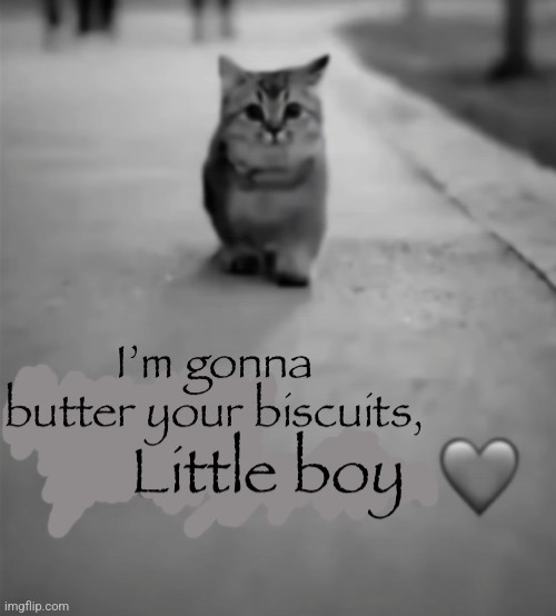 image tagged in i m gonna butter your biscuits | made w/ Imgflip meme maker