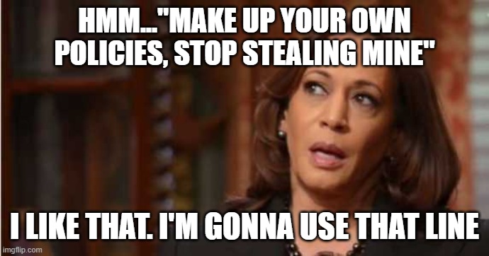 Kamala Harris | HMM..."MAKE UP YOUR OWN POLICIES, STOP STEALING MINE" I LIKE THAT. I'M GONNA USE THAT LINE | image tagged in kamala harris | made w/ Imgflip meme maker