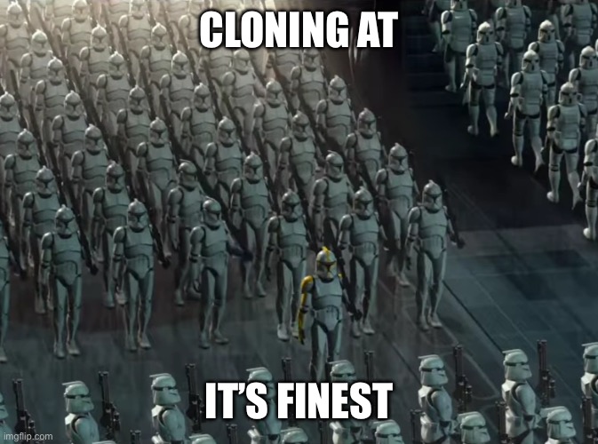 Clone trooper army | CLONING AT IT’S FINEST | image tagged in clone trooper army | made w/ Imgflip meme maker