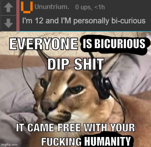 IS BICURIOUS; HUMANITY | image tagged in everyone has x dip shit | made w/ Imgflip meme maker