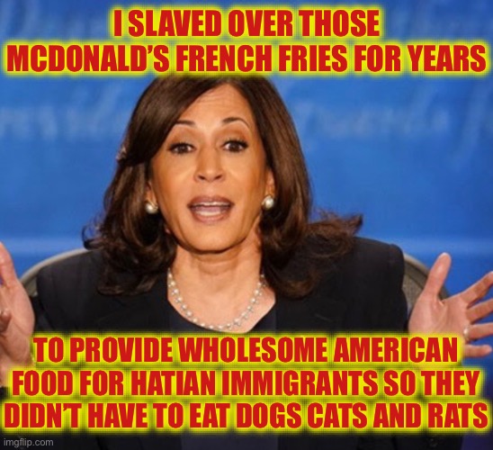 Burger Queen | I SLAVED OVER THOSE MCDONALD’S FRENCH FRIES FOR YEARS; TO PROVIDE WHOLESOME AMERICAN FOOD FOR HATIAN IMMIGRANTS SO THEY DIDN’T HAVE TO EAT DOGS CATS AND RATS | image tagged in kamala harris,lies,stupid liberals,fraud,election 3024 | made w/ Imgflip meme maker