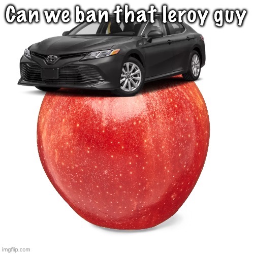 CamryApple | Can we ban that leroy guy | image tagged in camryapple | made w/ Imgflip meme maker