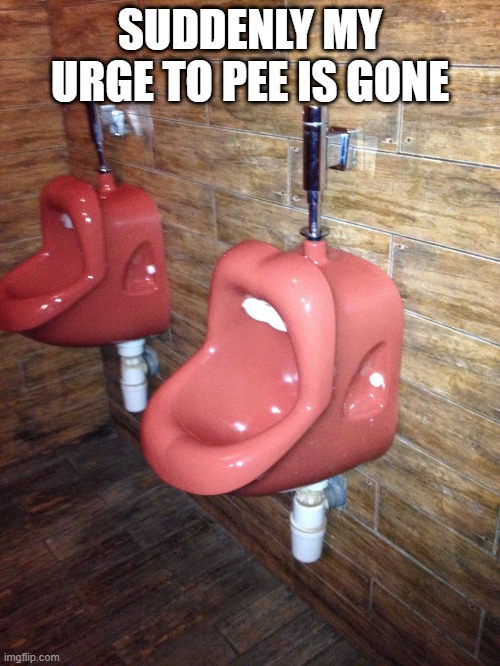 Urinal | SUDDENLY MY URGE TO PEE IS GONE | image tagged in cursed image | made w/ Imgflip meme maker