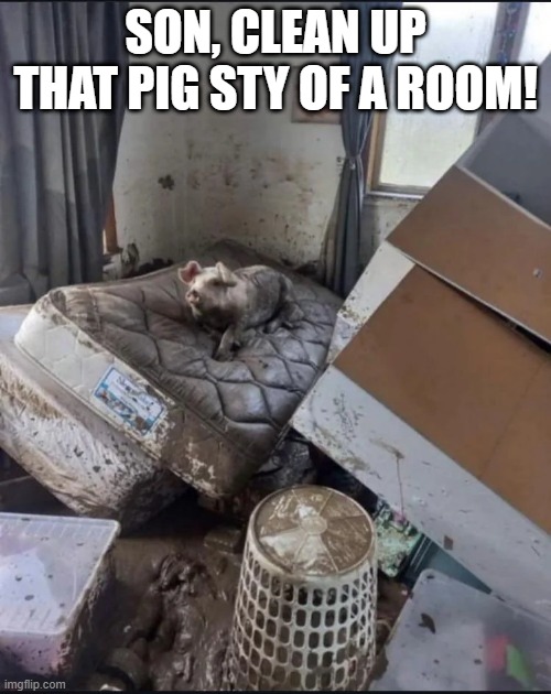 Who's Room? | SON, CLEAN UP THAT PIG STY OF A ROOM! | image tagged in cursed image | made w/ Imgflip meme maker