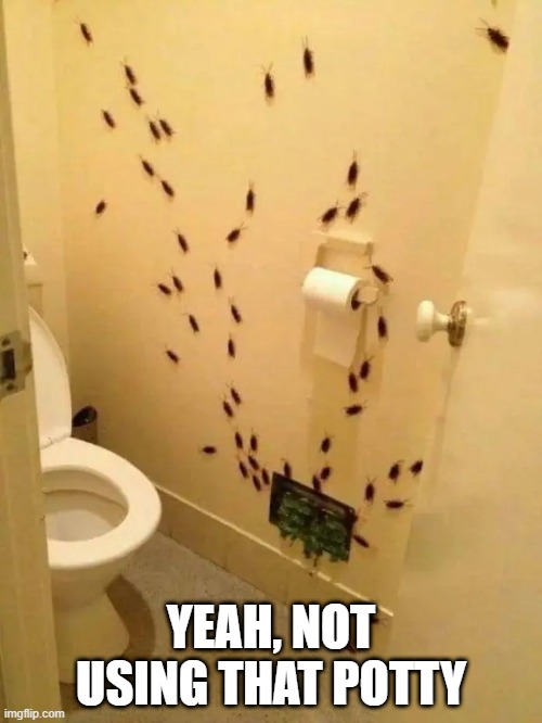 Bugs Me | YEAH, NOT USING THAT POTTY | image tagged in unsee juice | made w/ Imgflip meme maker