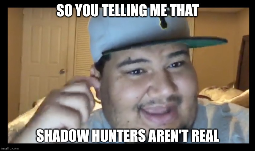 SO YOU TELLING ME THAT; SHADOW HUNTERS AREN'T REAL | image tagged in meme | made w/ Imgflip meme maker