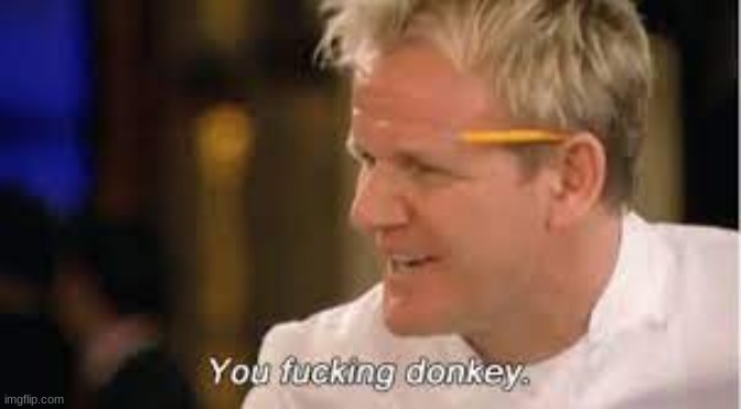 you f****** donkey - gordon ramsay | image tagged in you f donkey - gordon ramsay | made w/ Imgflip meme maker